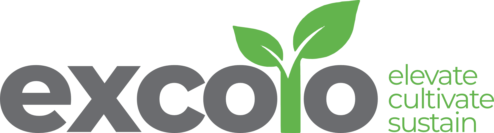 Excolo Partners — elevate, cultivate, sustain